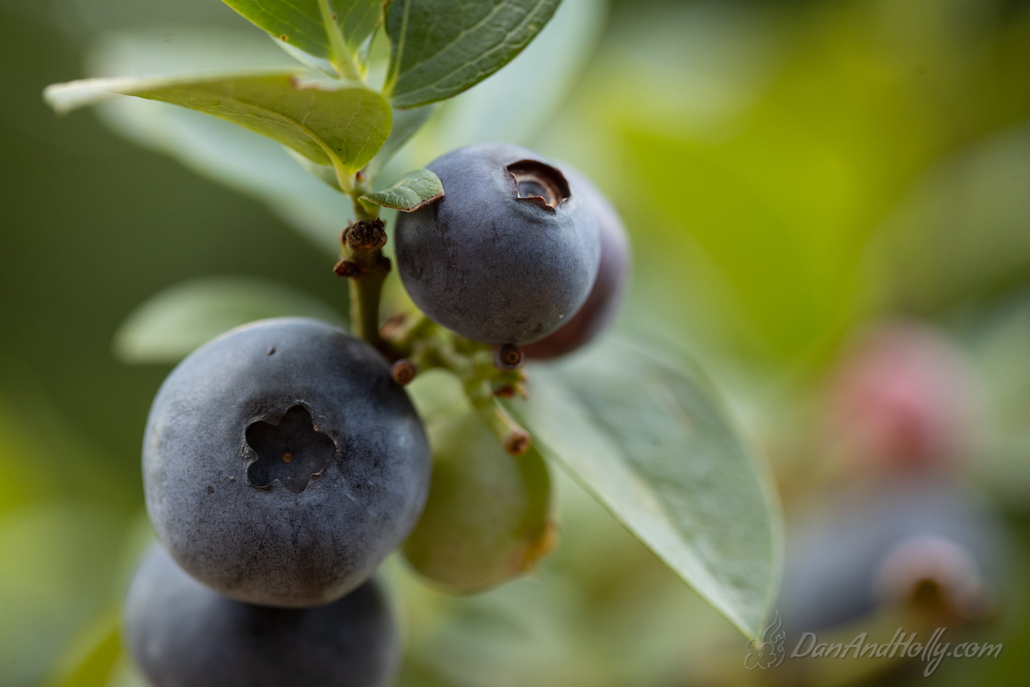 Downtown Knoxville in Fall Colors