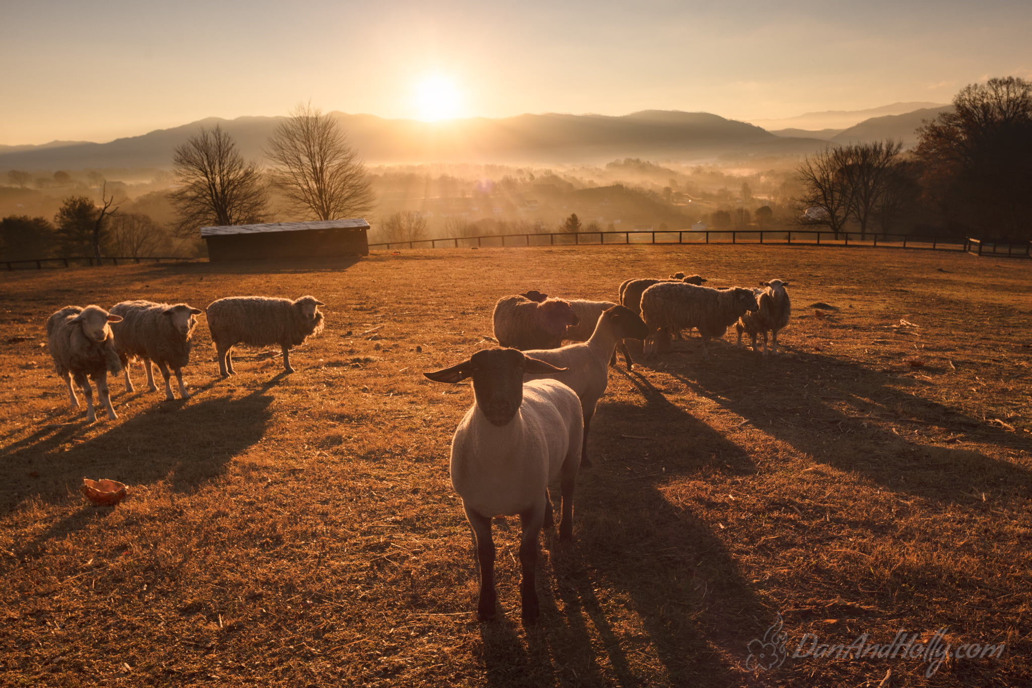 Downtown Knoxville in Fall Colors