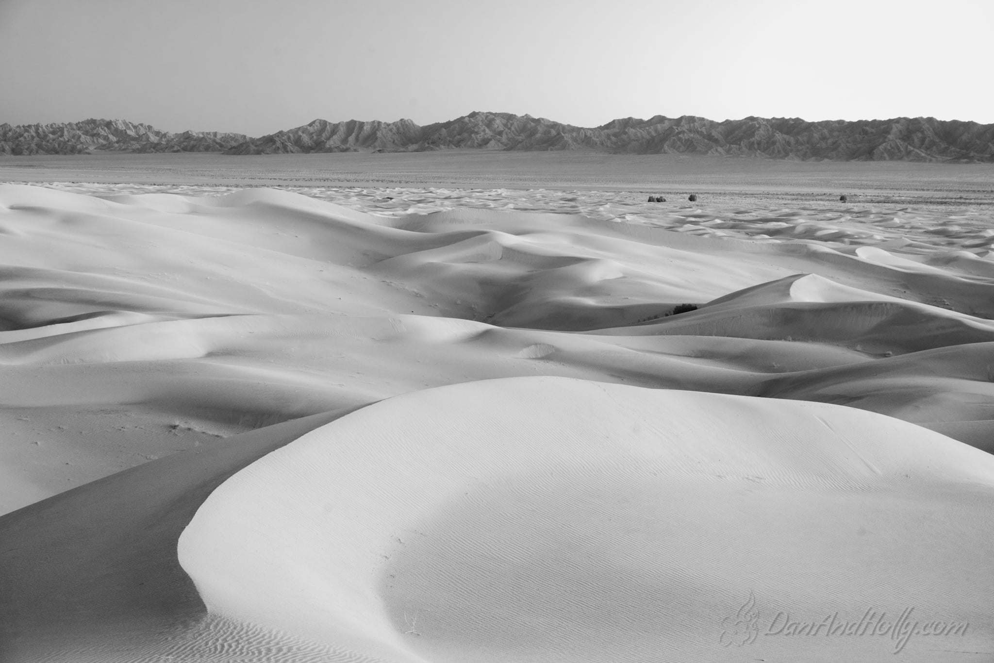 Downtown Knoxville in Fall Colors