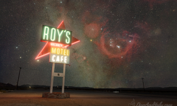 Roy’s Under the Stars