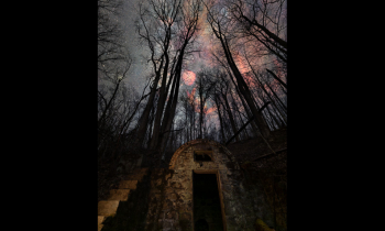 Night at the House of Fairies