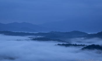 Blue Morning in the Smokies