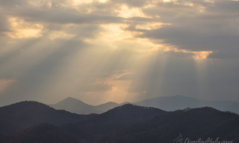 Rays of Sunshine