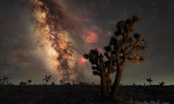 The Milky Way Rising Over the Joshua Trees