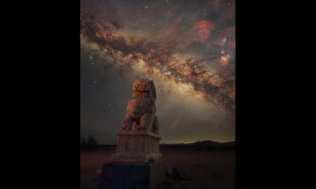 Guardians of the Desert