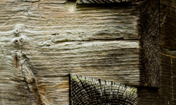 POTW: Cades Cove Cabins