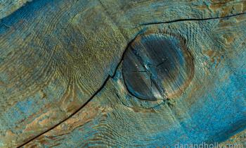 POTW: Elkmont Blue