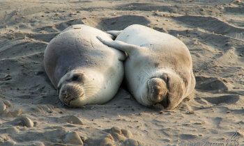 POTW: Cutest thing EVER
